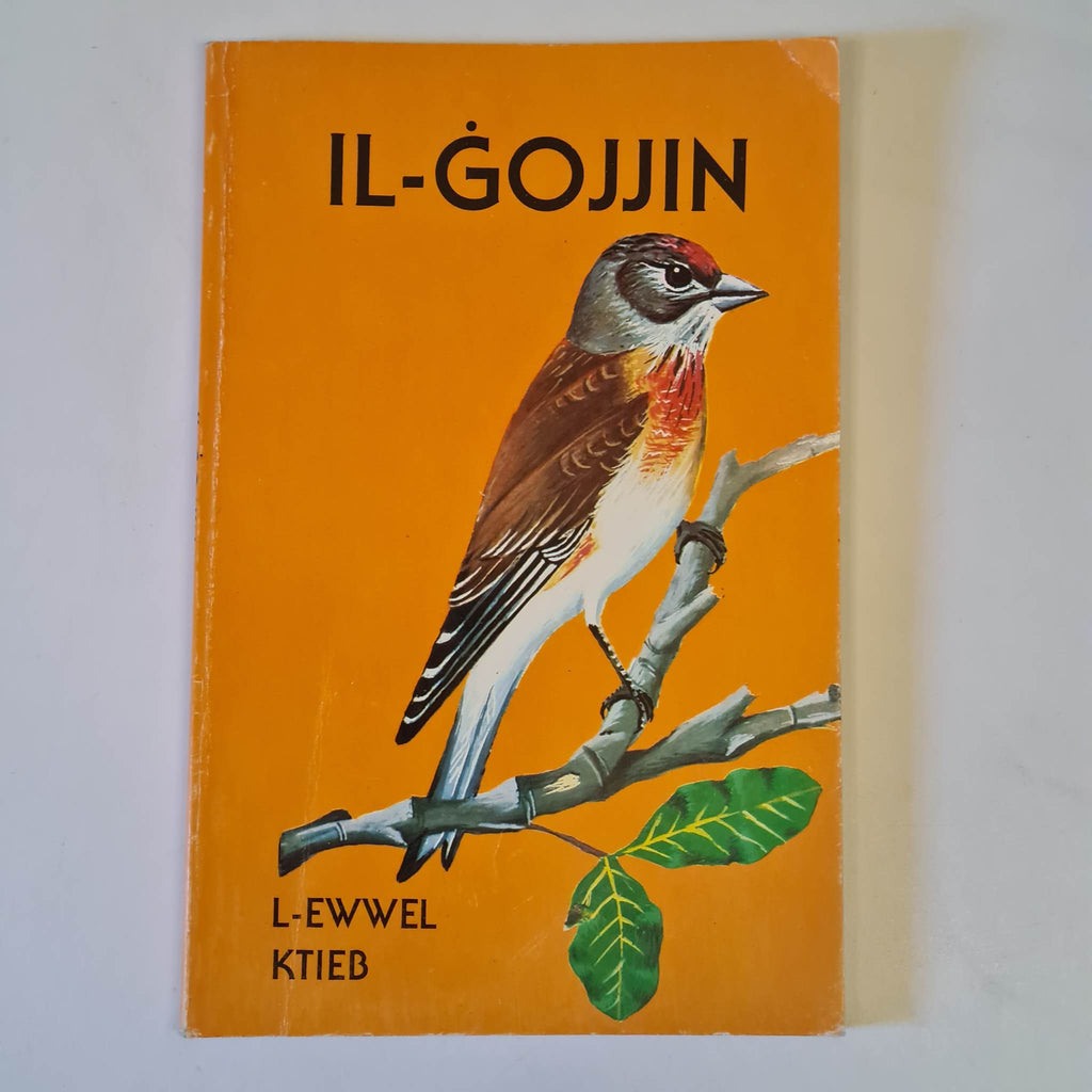 Il-Gojjin L-Ewwel Ktieb