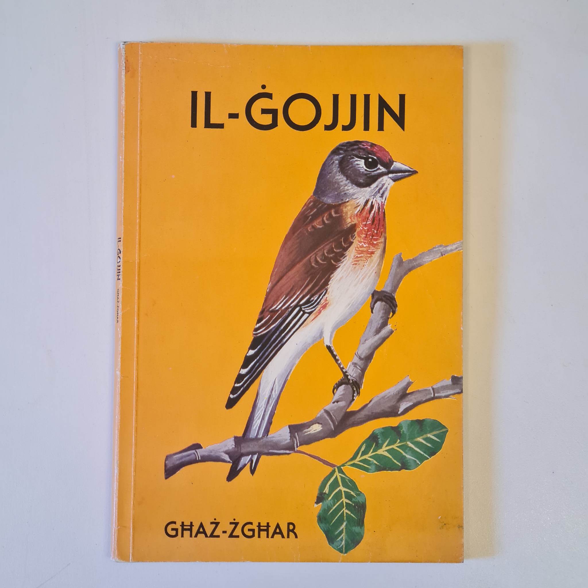 Il-Gojjin Ghaz-Zghar