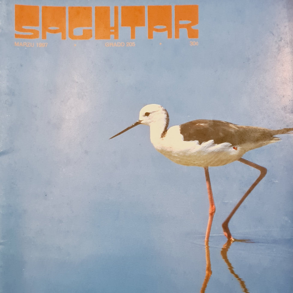 Saghtar 205 Marzu 1997
