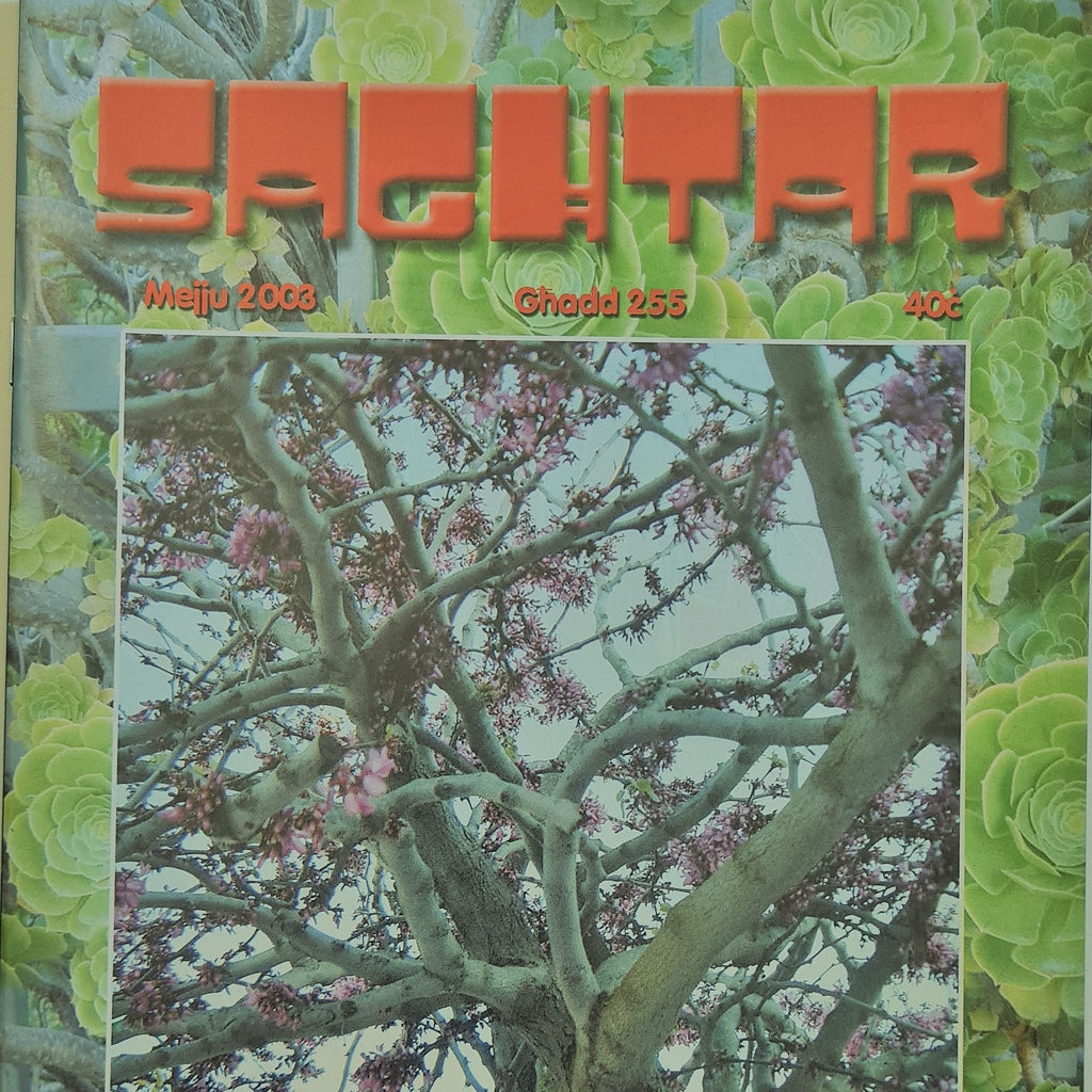 Saghtar 255 Mejju 2003