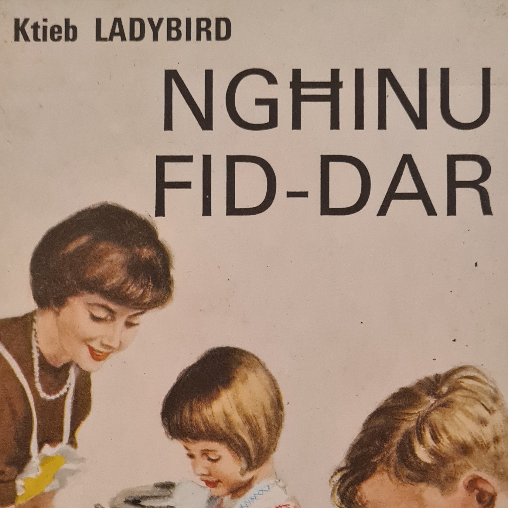 Nghinu Fid-Dar
