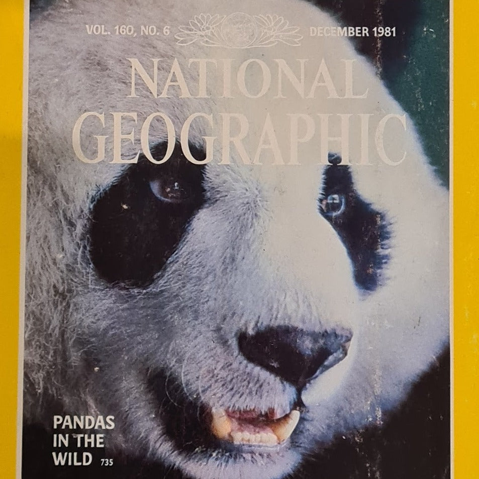 The National Geographic  Magazine December 1981, Vol. 160, No.6