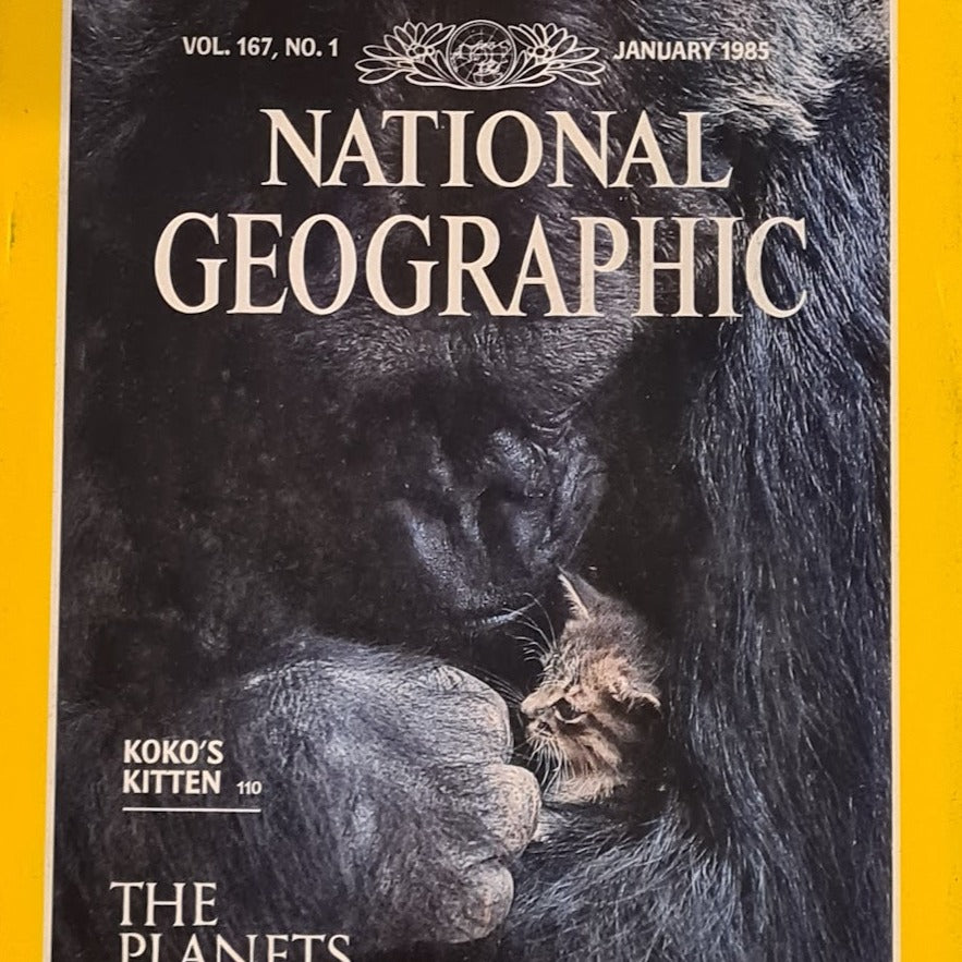 The National Geographic  Magazine January 1985, Vol.167, No.1