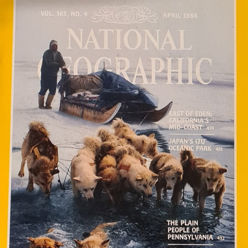 The National Geographic  Magazine April 1984, Vol. 165, No.4