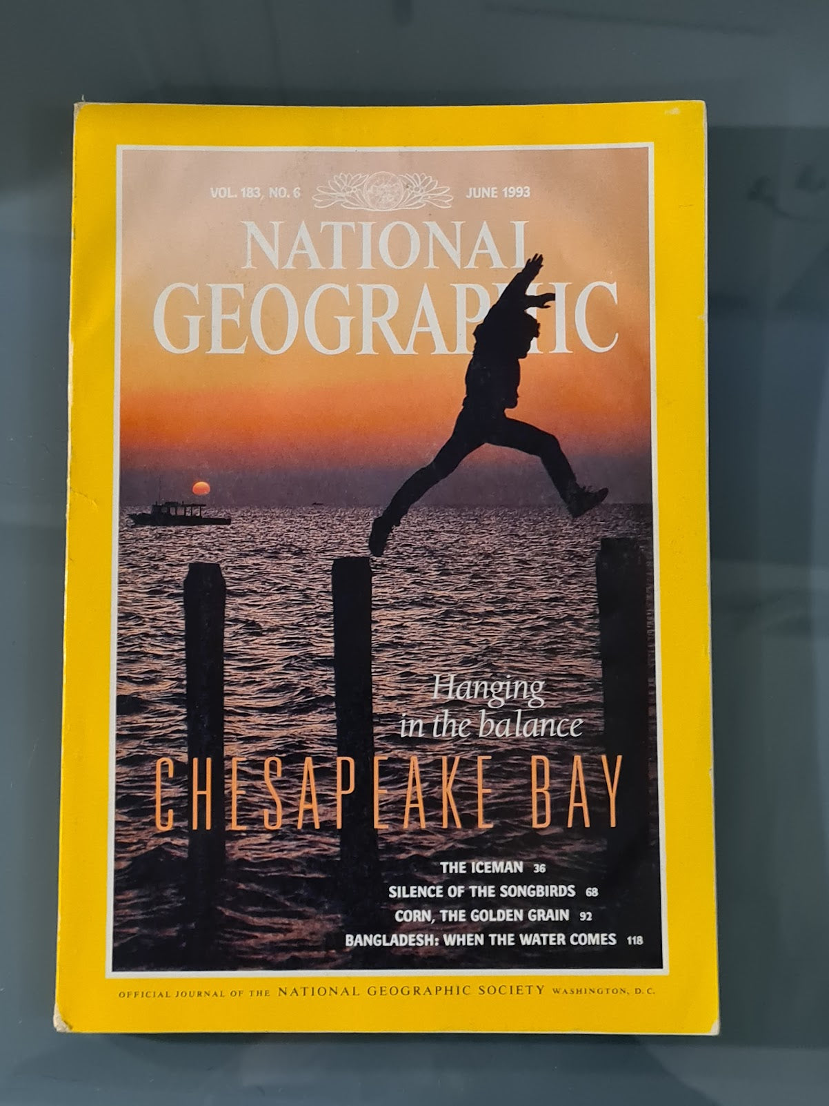 The National Geographic  Magazine June 1993, Vol. 183, No.6