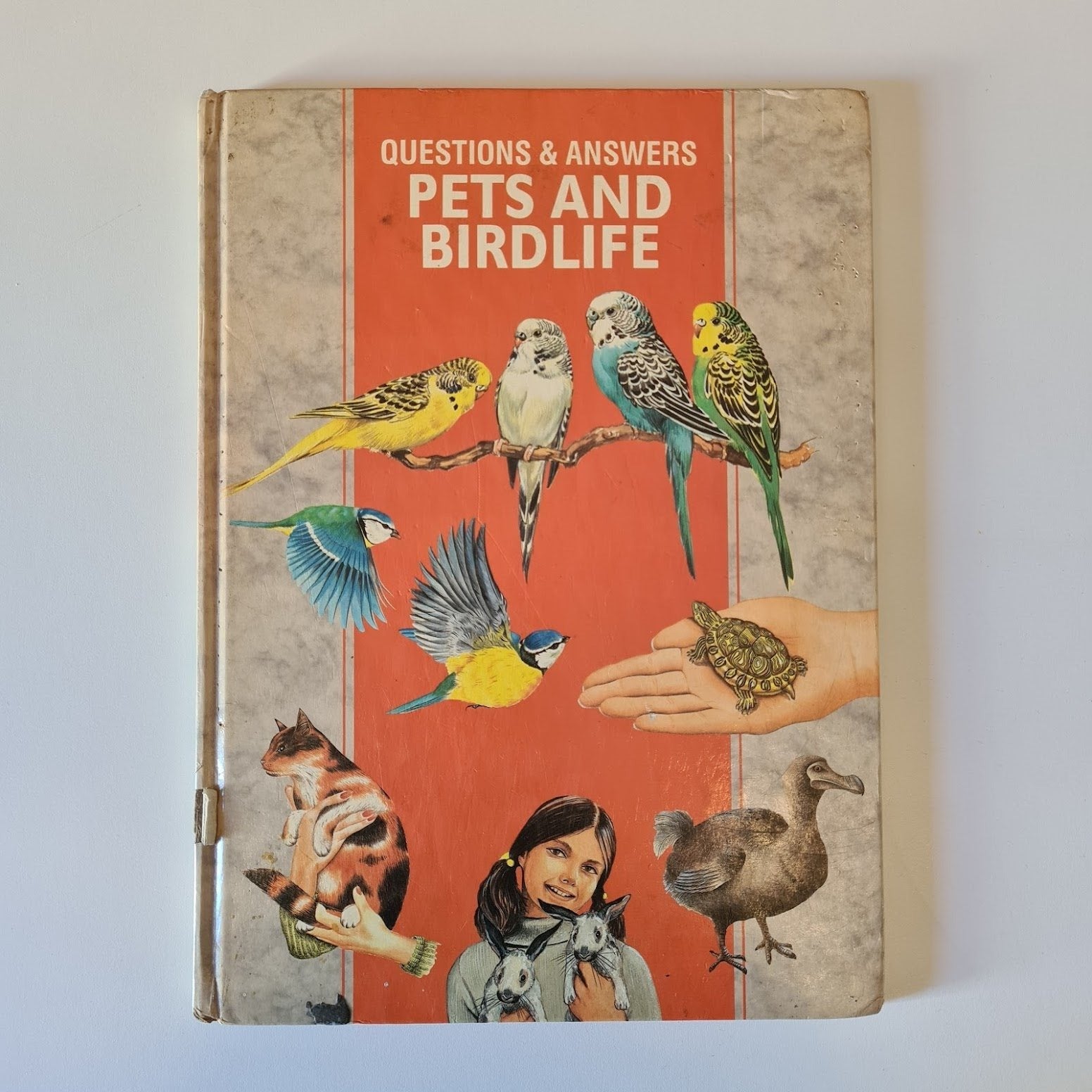 Pets And Birdlife