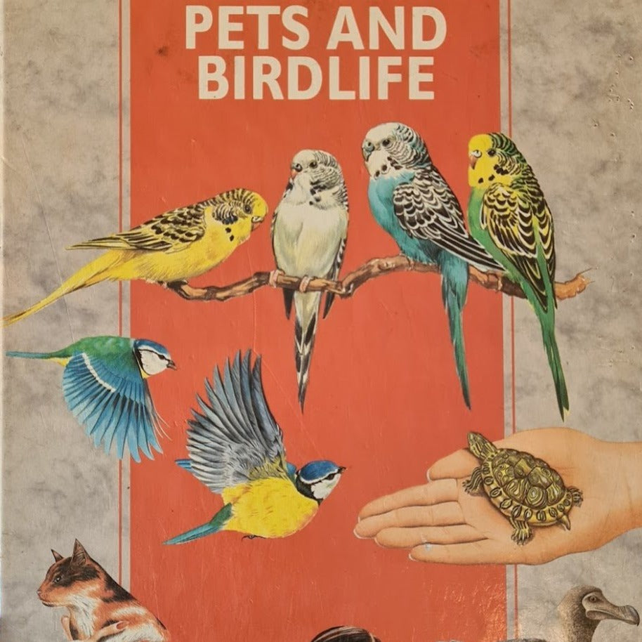 Pets And Birdlife