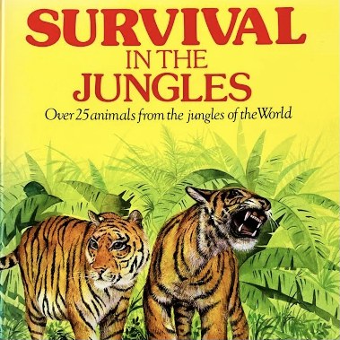 Survival In The Jungles