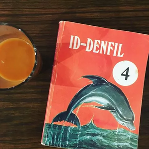 Id-Denfil ④