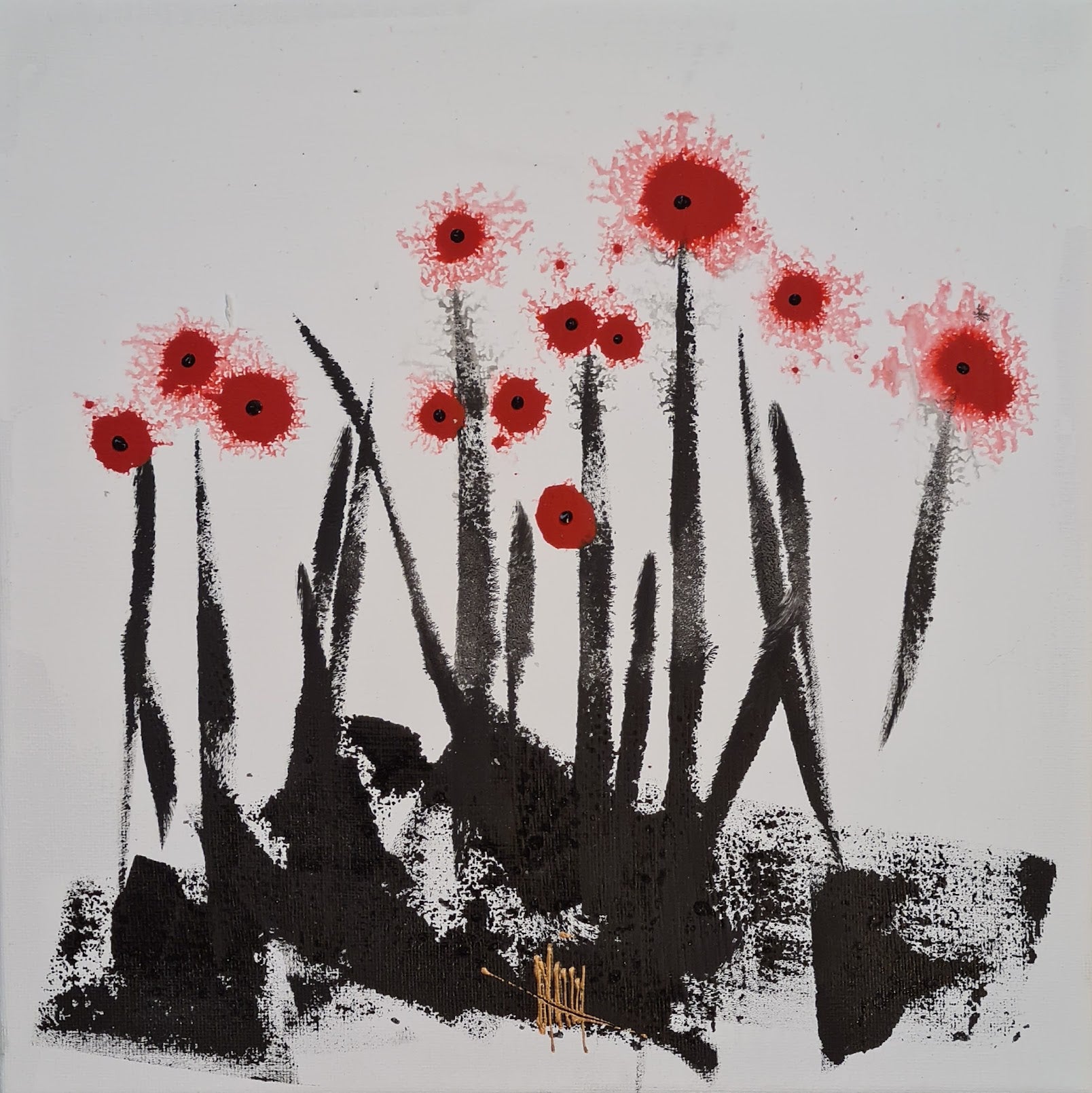 Poppies 5